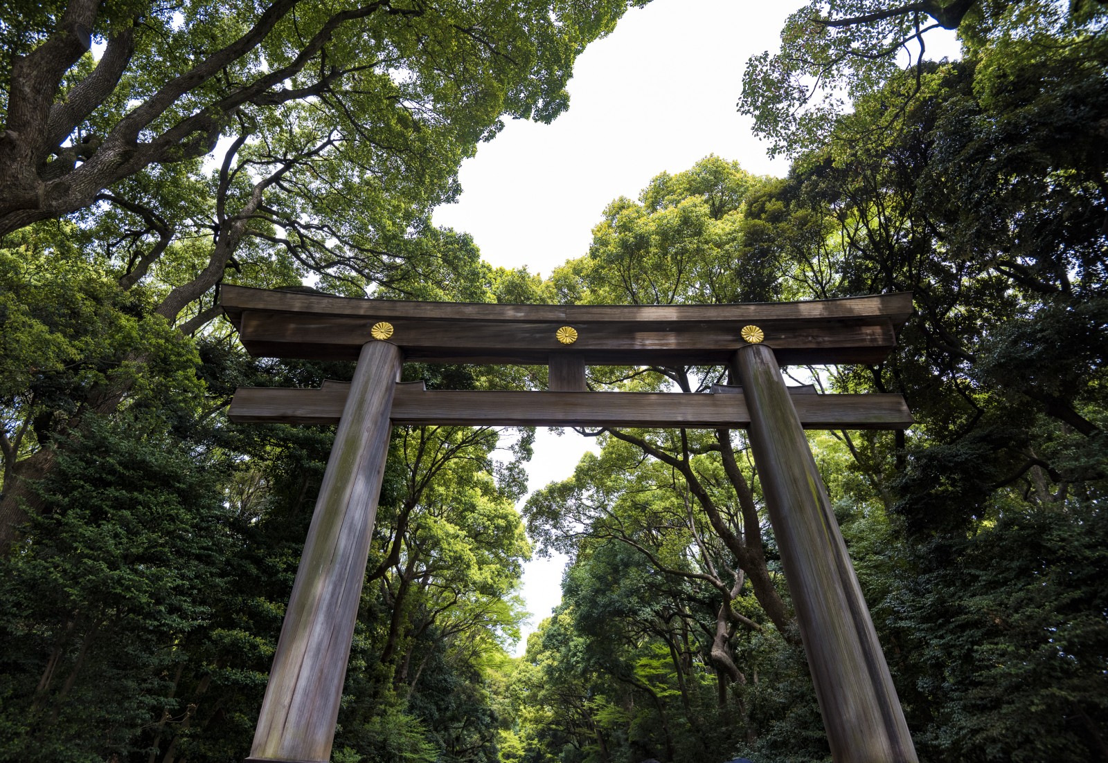 Tori na entrada do Parque Yoyogi