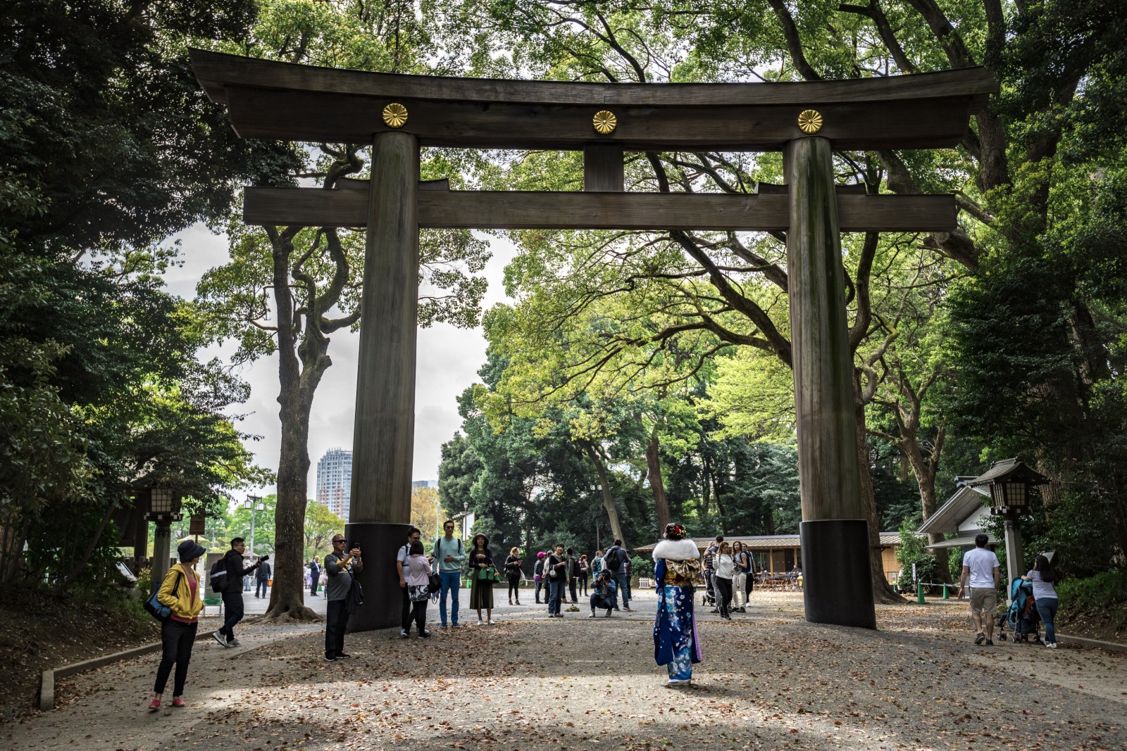 Tori na entrada do Parque Yoyogi